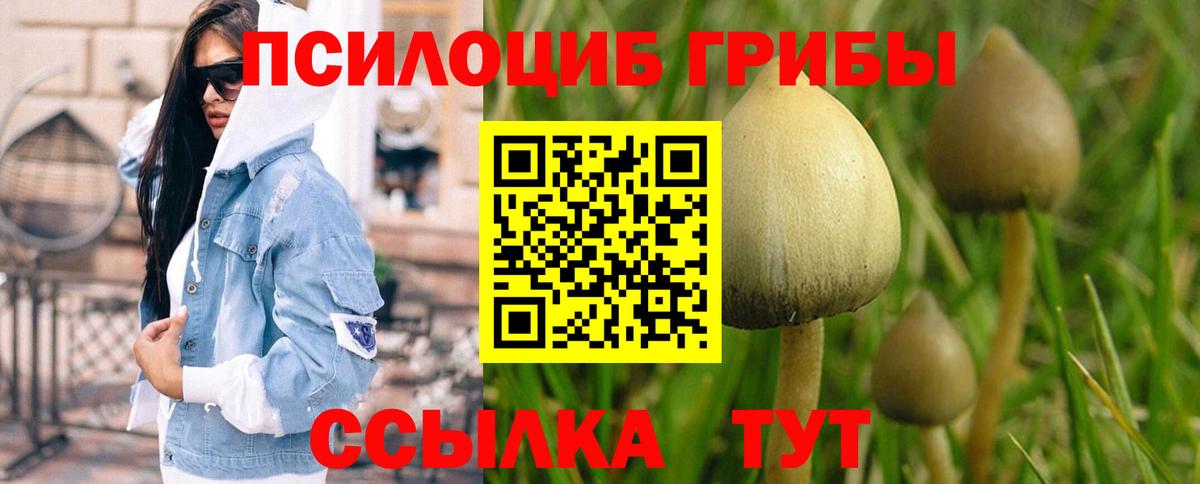 Псилоцибиновые грибы MAGIC MUSHROOMS Удомля