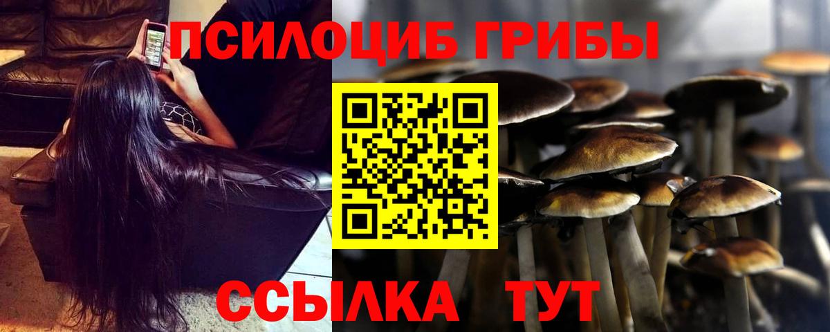 Удомля  Галлюциногенные грибы прущие грибы  Вход с VPN 